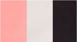dune/black/bleached coral