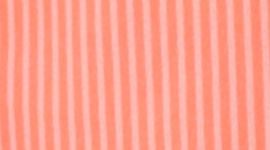 WASO/PORA-WAGON STRIPE POP ORANGE/POP ORANGE