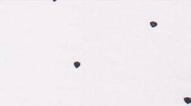 LLIN-LUNAR LIGHT INKWELL