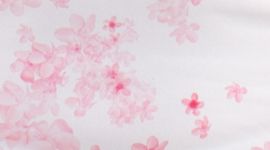 FPPI/WHT-FRANGIPANI PARFAIT PINK/WHITE
