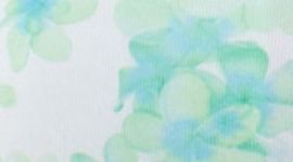 FRVG/WHT-FRANGIPANI VERY GREEN/WHITE