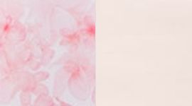 FPPI/PARP-FRANGIPANI PARFAIT PINK/PARFAIT PINK