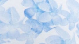 FRAQ/AQAM-FRANGIPANI AQUAMARINE/AQUAMARINE