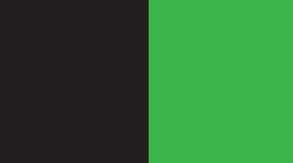 BLK/FRON-black/frond