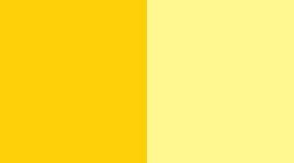 BUYE/MLEM-BURNING YELLOW/MELLOW LEMON
