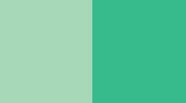 FRTE/VRGR-FRESH TEAL/VERY GREEN