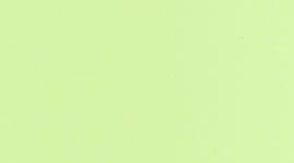 FZAP/FRON- FADED ZAP/FROND