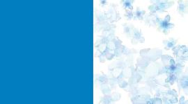 BEAB/FRAQ- BEACH BLANKET BLUE/FRANGIPANI AQUAMARINE