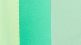 faded zap/fresh teal/very green