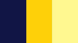 inkwell/burning yellow/mellow lemon