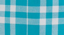PPBL- PICNIC PEACOCK BLUE