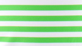 OSFR/FRON- OCEAN STRIPE FROND/FROND