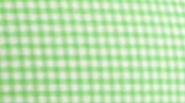 EIGF- EIGHTH GINGHAM FROND
