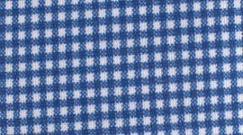 EGHA- EIGHTH GINGHAM HAMPTON BLUE