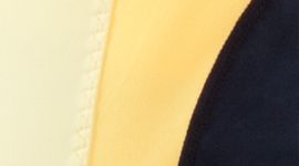 mellow lemon/burning yellow/inkwell