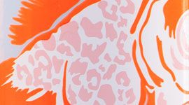 RLAC- RUN LIKE A CHEETAH POP ORANGE