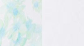 WHT/FRVG- WHITE/FRANGIPANI VERY GREEN