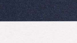 beach stripe white inkwell