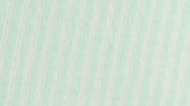 tonka stripe fresh teal