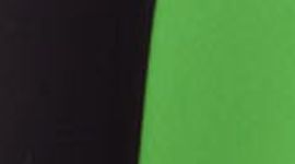 black/frond/black