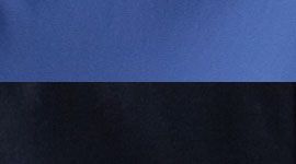 inkwell/hampton blue