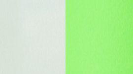 ZIGR/WHT/BOZI- ZIPPY GREEN/WHITE/BOLD STRIPE ZIPPY GREEN