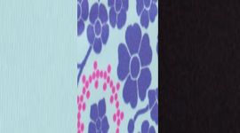 BLK/QESU/PWPU- BLACK/QUILT SUMMER13 5/POWER PURPLE