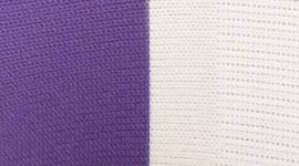 bold stripe power purple