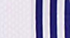 white/ pigment blue white narrow bold stipre