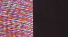 wee are from space black march multi/ black