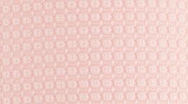 blush quartz/ fossil