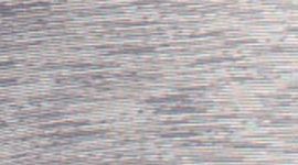 WESC/FOSS- WEE ARE FROM SPACE COAL FOSSIL/ FOSSIL