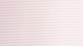 blush quartz/ cut-out lace reflective print