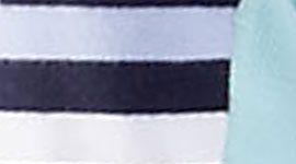 discover stripe white deep indigo/ white/ aquamarine