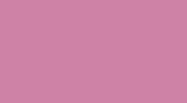 PISH- PINK SHELL