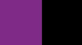 TVBL- TENDER VIOLET/BLACK