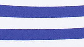 pigment blue white microstripe