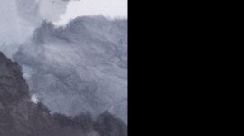 white coal tinted canvas super/ black