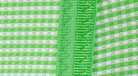 FRON/WHT-FROND/WHITE