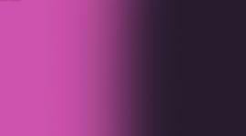 paris pink/ black