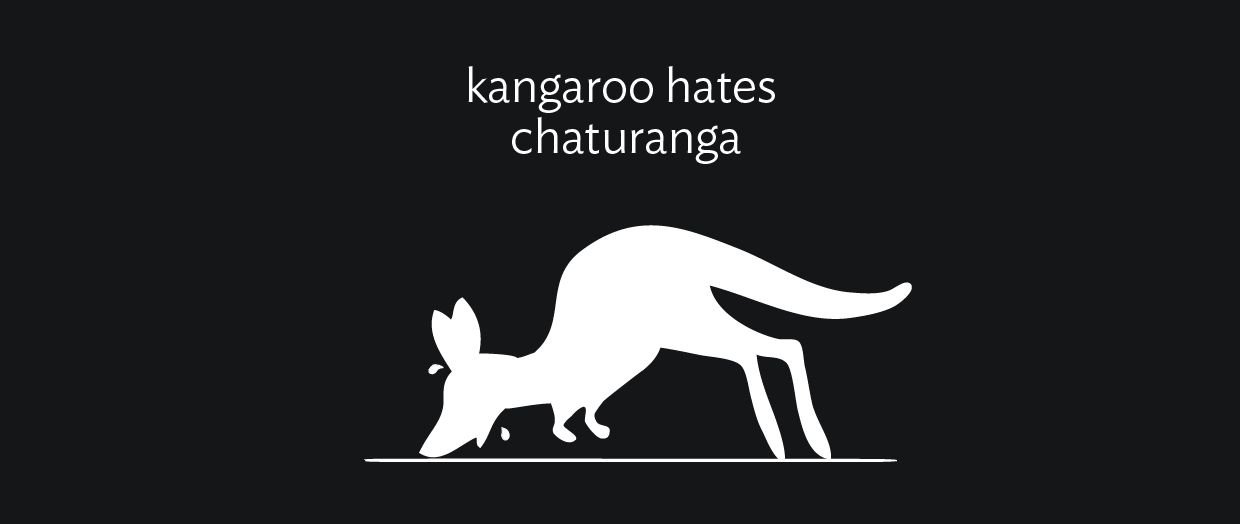 kangaroo hates chatarunga