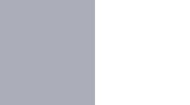 silver fox/white color swatch