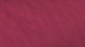 Wine Berry