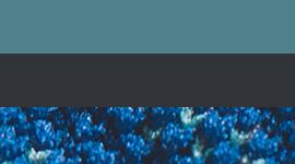 Inkwell/Rugged Blue/Arctic Teal (not available)