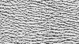 Sheer Luon Pebble Jacquard White Black color swatch