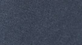 nautical navy/nautical navy color swatch