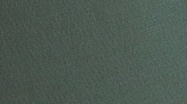 Dark Forest/Dark Forest (not available)