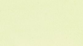 A Little Extra Short Sleeve