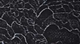 lacescape dark cast black color swatch