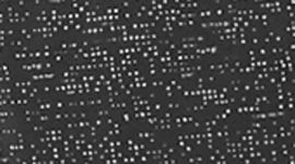 Track Lights Asphalt Grey Black color swatch